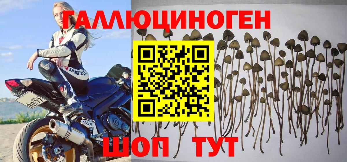 Галлюциногенные грибы ЛСД Калач-на-Дону